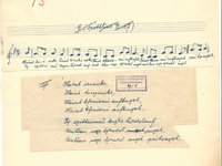 29-5_lied_Haint%20izi%20niks.pdf