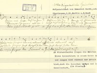 62-1_lied_Spinn%20mei%20liebe%20Tochter%20spinn.pdf