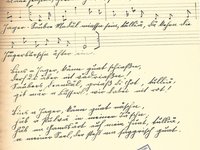 74-84_lied_Blaue%20Fenstal.pdf