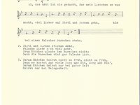 102-117_lied_Ei%20das%20ha%CC%88t%20ich%20nie%20gedacht.pdf