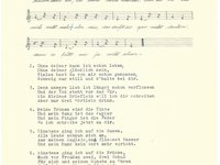 102-147_lied_Glaubst%20denn%20du%20ich%20werd%20mich%20kra%CC%88nken.pdf