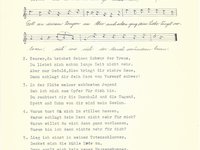 102-230_lied_Treue%20Liebe%20hast%20du%20mir%20geschworen.pdf