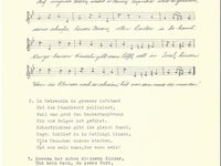 102-281_lied_Auf%20ungarisch%20Wiesn%20wochst%20a%20Flanzn.pdf