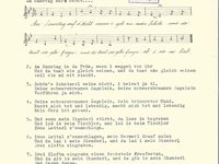 102-96_lied_Am%20Samstag%20auft%20Nacht.pdf