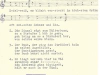 103-6_lied_Das%20scho%CC%88nste%20Bleamal.pdf