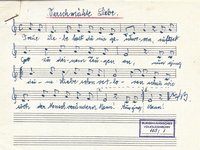 105-1_lied_Treue%20Liebe%20hast%20du%20mir%20geschworen.pdf