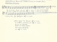 107-57_lied_Ne%20pravamo%20zidova.pdf