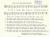 122-20_lied_Es%20steht%20a%20Bleamal.pdf