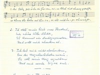127-14_lied_Mei%20Schatz%20geht%20u%CC%88ber%20die%20Gassen.pdf