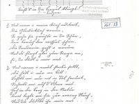 161-28_lied_Ei%20da%20dudl%20i%20war%20ans%20auf%20almrisch%20gschwind.pdf