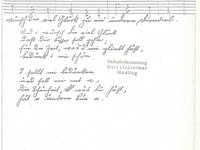 161-57_lied_Da%20drobn%20am%20Bergal%20stehn%20Sammetbluamerl.pdf