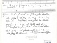 161-69_lied_Mein%20Bu%CC%88aberl%20sein%20Falschheit%20is%20nit%20zun%20dagru%CC%88ndn.pdf