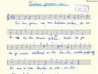 167-55_lied_Tuzan%20jesam%20na%20vom%20tuzom%20svitu.pdf