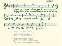 167-7_lied_Cura%20kopa%20vinograd.pdf