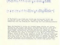 181-027a_lied_D%60%20Musikant%60n%20san%20krank.pdf