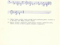 181-045_lied_Gehts%20Buam%20seids%20lusti%21.pdf