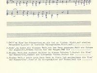 181-080_lied_Selt%60ne%20Blum%60%20der%20Ma%CC%88nnertreu.pdf
