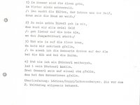185-43_lied_Im%20Sommer%20sind%20die%20Almen%20gru%CC%88n.pdf