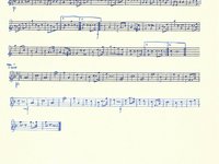 188-007_Polka_Auf%20geht%60s%20Buam.pdf