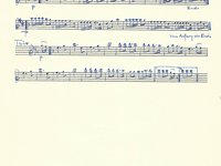 188-022_Polka_Blumen-Polka.pdf