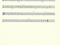 188-030_Walzerlied_Der%20Ferdl%20vom%20Bach.pdf