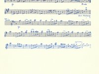 188-034_Polka_Do%CC%88rfler.pdf
