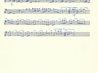 188-036_Polka_Dra%C3%9Fmarkter%20Polka.pdf