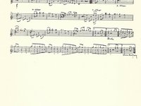 188-045_Walzer_Frauen-Walzer-Weiberstu%CC%88ckl.pdf