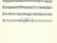 188-049_Polka_Geigen-Polka.pdf