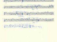 188-076_Polka_Mannersdorfer-Polka.pdf