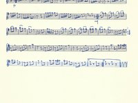 188-104_Polka_Streicher-Polka.pdf