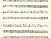188-164_La%CC%88ndler_4%20Hochzeitsla%CC%88ndler%20aus%20Do%CC%88rfl.pdf
