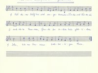 190-11_lied_Viel%20deiner%20Scha%CC%88flein%20sind%20angekommen.pdf