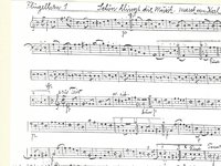 201-20_Marsch_Scho%CC%88n%20klingt%20die%20Musik.pdf