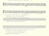 228-13_lied_Diandal%20wo%20hast%20denn%20dei%20Liegastatt.pdf